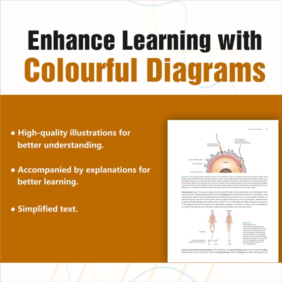 NCERT Class XII Biology